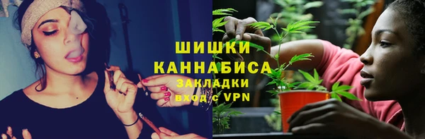 Альфа ПВП Белокуриха