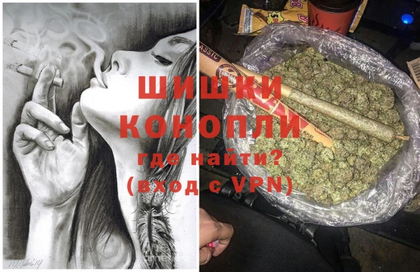 Альфа ПВП Белокуриха