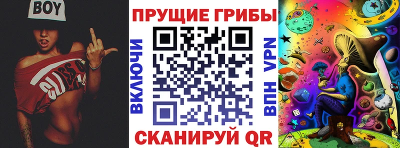 Галлюциногенные грибы мицелий  как найти   Краснокамск 